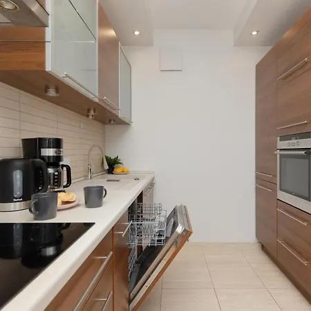 شقة Spacious Zawiszy Wola By Renters *